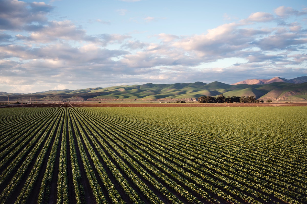 The use of agricultural pesticides has increased by 29%, and will be controlled by the ministry through the datamatrix system.
