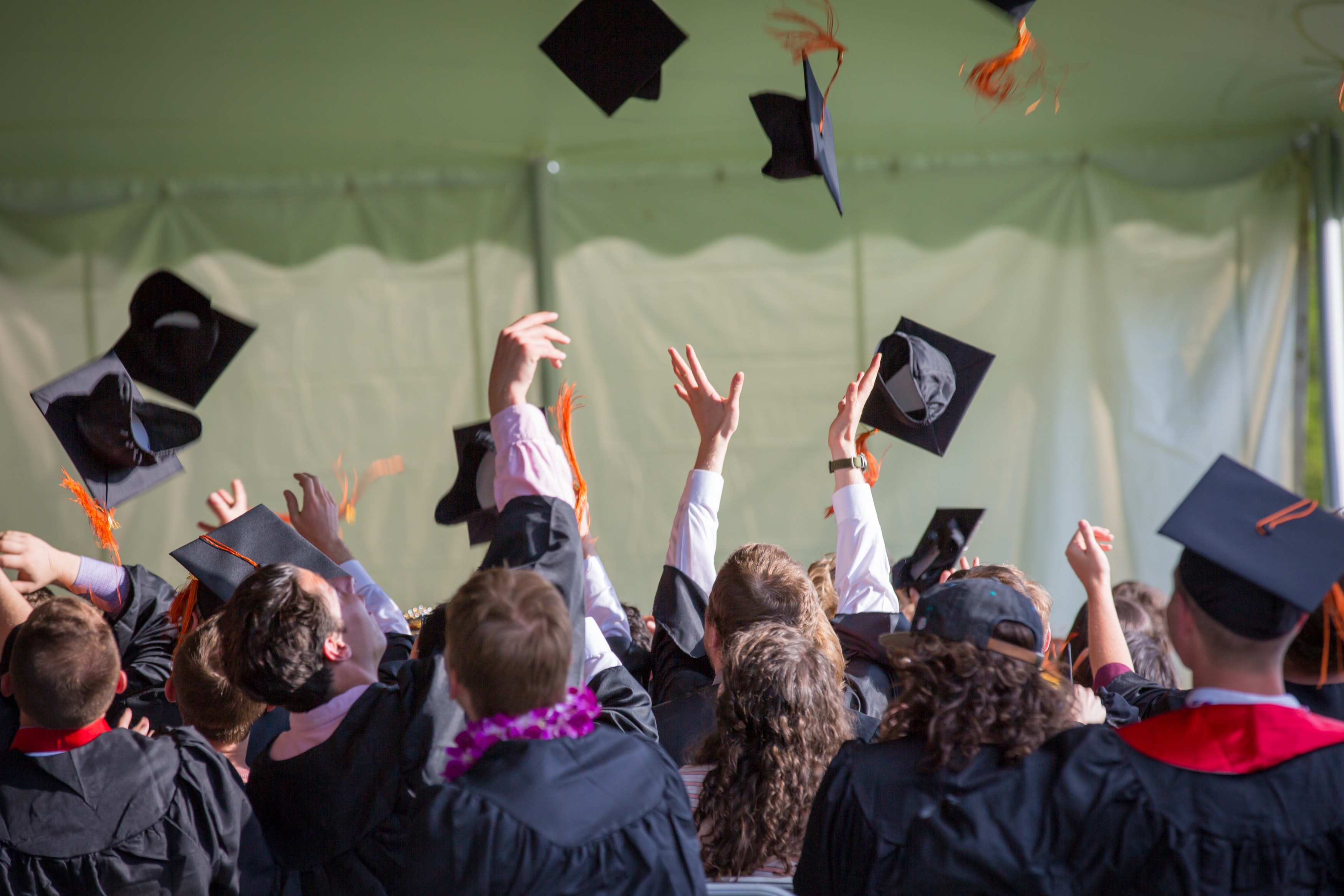 900,000 students from 246 universities are expected to graduate this year!