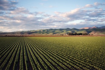 The use of agricultural pesticides has increased by 29%, and will be controlled by the ministry through the datamatrix system.