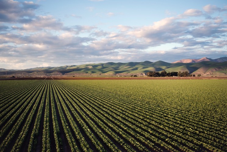 The use of agricultural pesticides has increased by 29%, and will be controlled by the ministry through the datamatrix system.