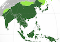 Asia-Pacific