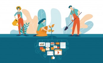 What is Content Seeding?