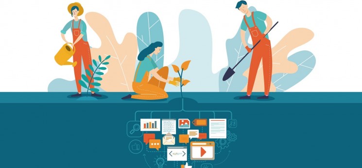 What is Content Seeding?