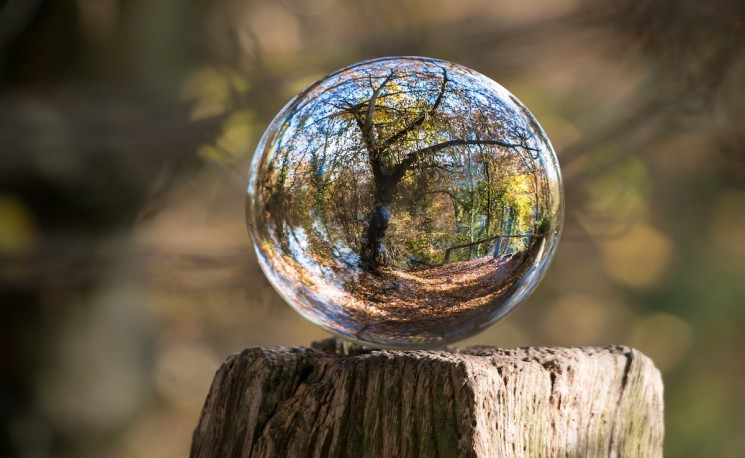 83 percent of CEOs believe sustainability investments will increase their company's profits