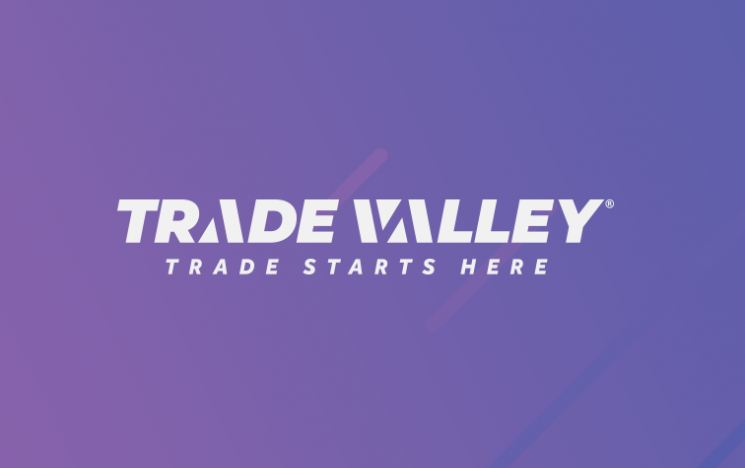 'Turkeyol' will continue its activities under the umbrella of TradeValley