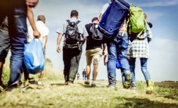 Number of migrants exceeded 3.5 percent of the world population