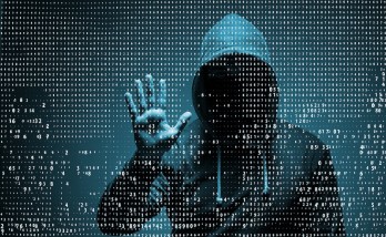 Turkey's cyber firewall ranks among fastest growing tech companies