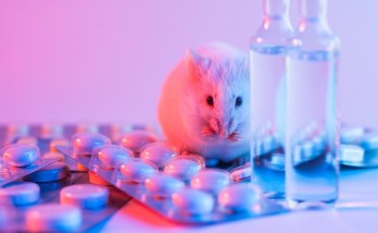 More than 192 million animals are being kept in laboratories for experimentation!