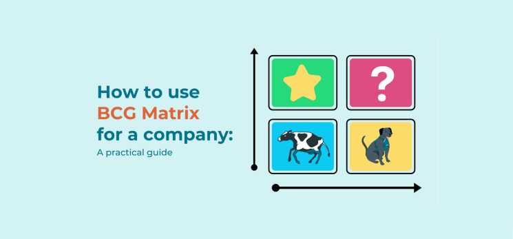 How to use BCG Matrix for a company: A practical guide