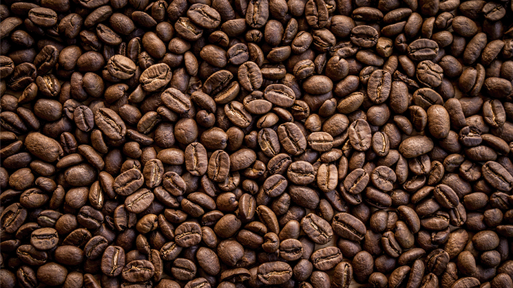 Anisah Coffee has increased its daily coffee production to over 3.5 tons