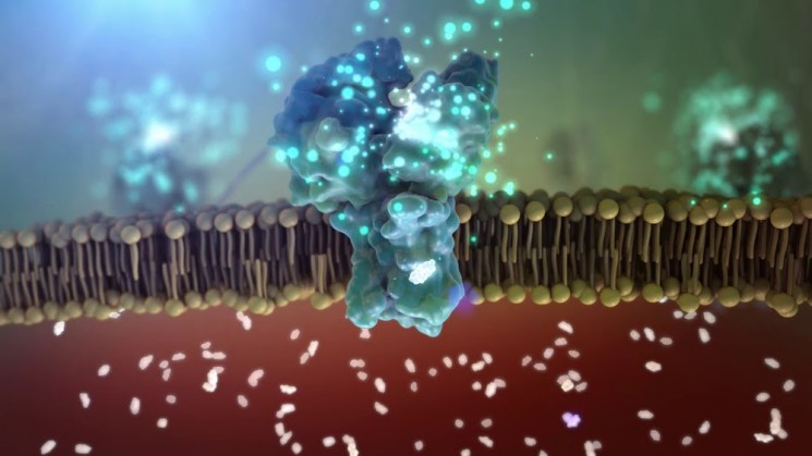 VistaGen Therapeutics and EverInsight Therapeutics Enter Strategic Collaboration