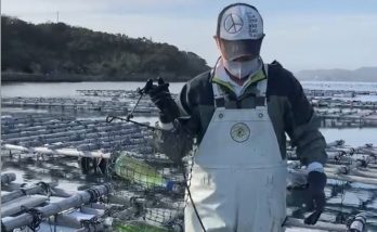 Tradition and nature combine to produce Mie Prefecture’s unique Undersea Aged Sake in Japan