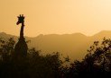 North Africa