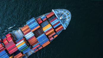 Consulting company revealed: “Those engaged in foreign trade may face prosecution for multiple offenses if they do not comply with directives”